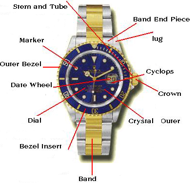 rolex/luxury watches anatomy/ parts name and etc.